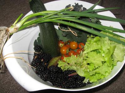 The Fruits (and Veggies) of Your Garden