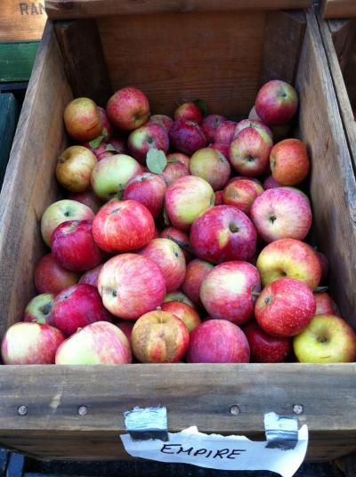 Fresh apples on display