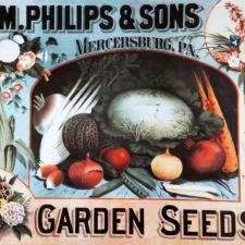 This old fashioned metal sign advertising garden seeds is going to have a special place above the stove in our kitchen. old fashioned garden seeds sign