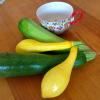 Zucchini and Crook Neck Squash from the Weber's garden